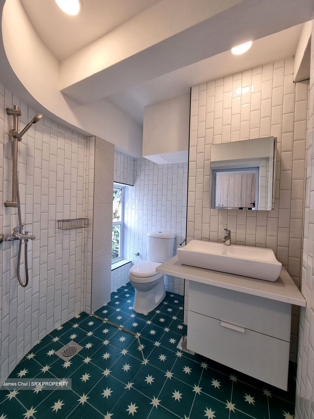 Tiong Bahru Estate (D3), Apartment #359789741